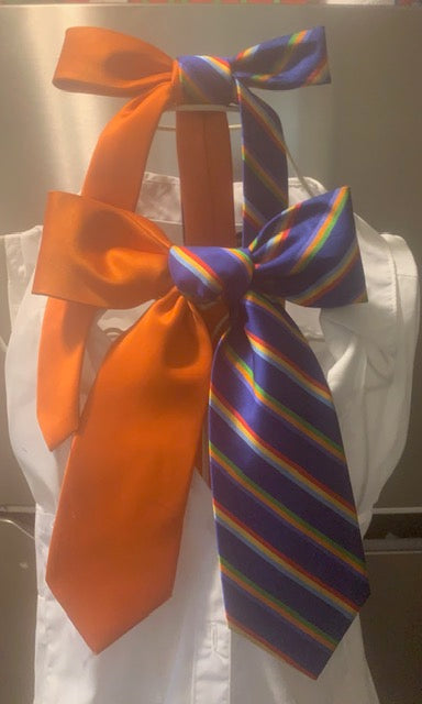 Bow Tie Set (1 Big, 1 Small)